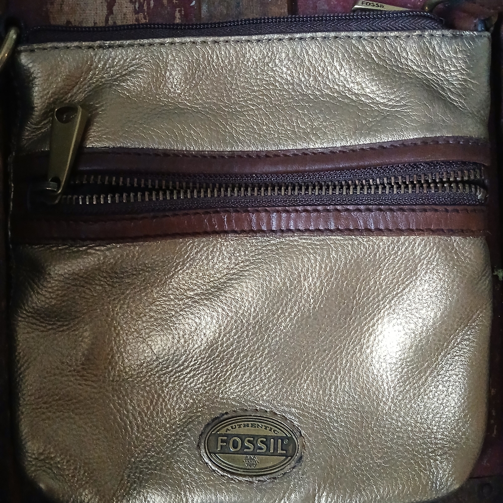Fossil Gold and Brown Crossbody Bag